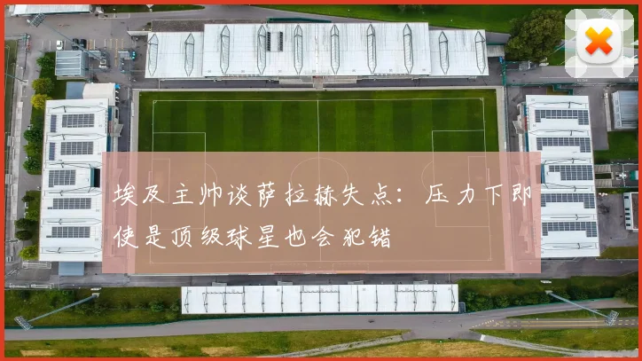 埃及主帅谈萨拉赫失点：压力下即使是顶级球星也会犯错